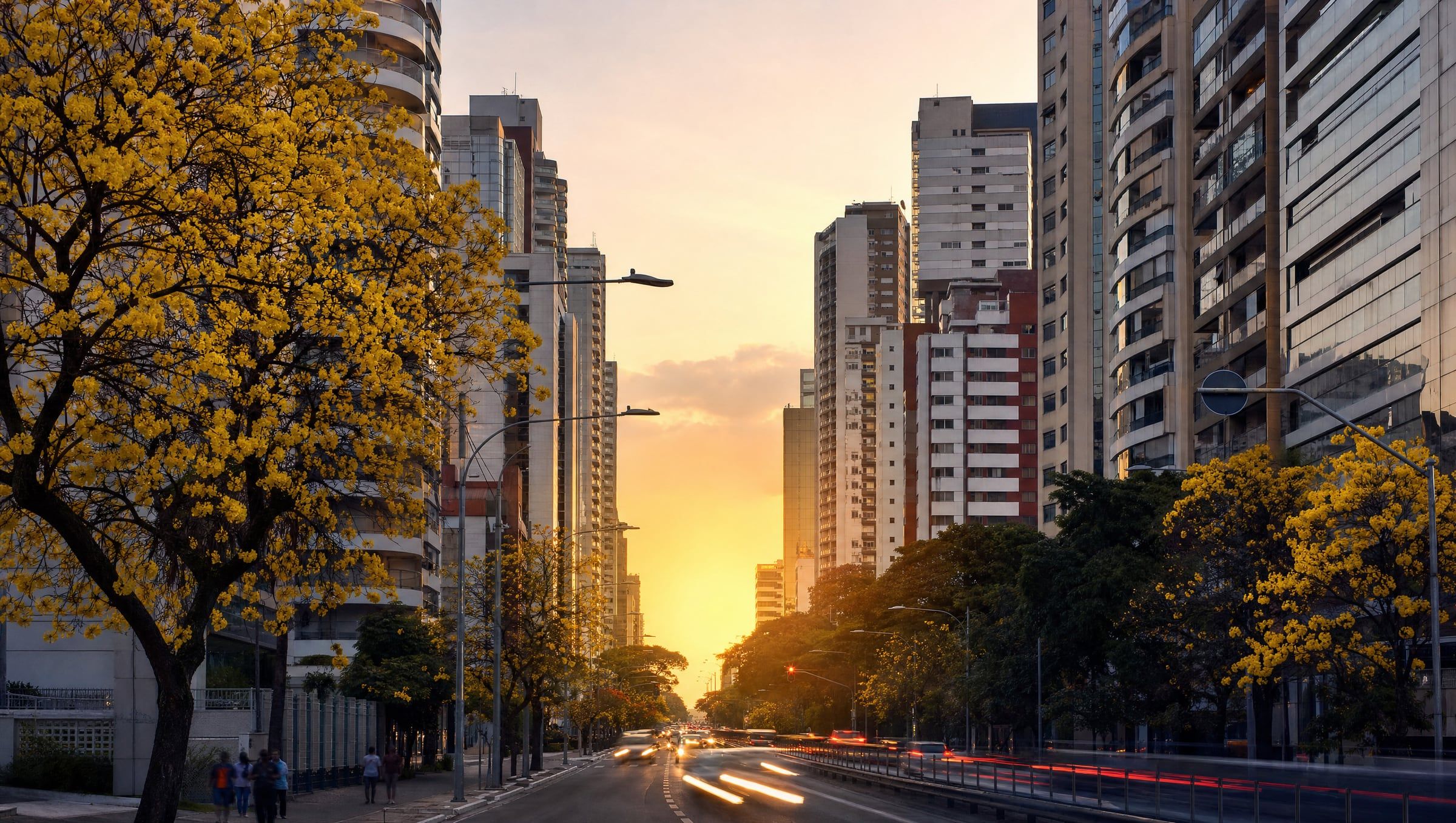 Avenida de Ribeirão Preto ao entardecer, ladeada por prédios altos e ipês amarelos floridos, com o trânsito da cidade em movimento